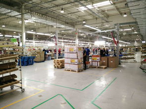 TCL波蘭廠 從彩電制造到互聯(lián)網(wǎng)服務(wù)，打造“一帶一路”合作新樣板